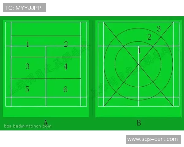 赛后分析：北京羽毛球队与南京羽毛球队灵活性对比及战术启示